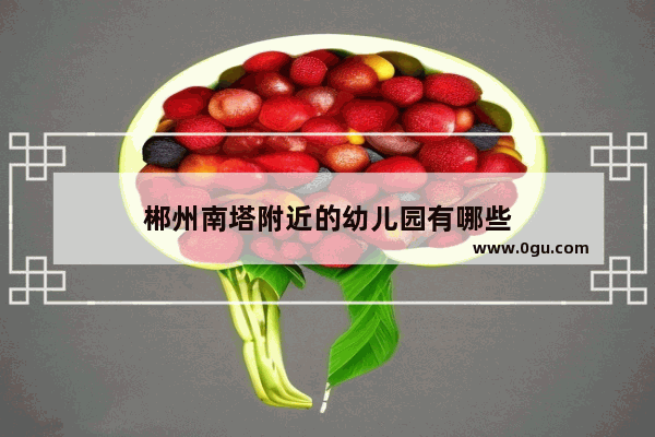 郴州南塔附近的幼儿园有哪些