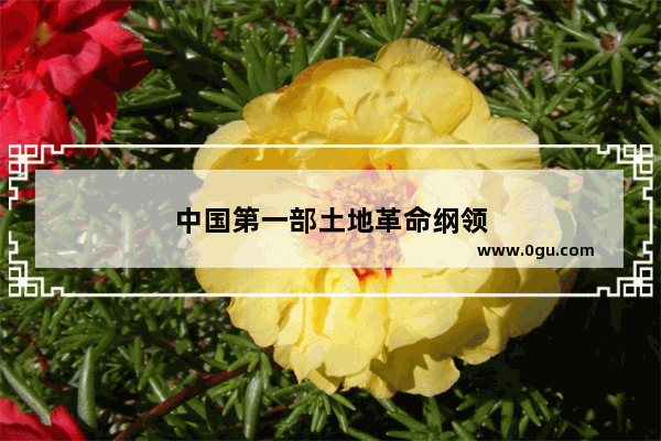 中国第一部土地革命纲领