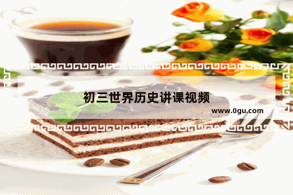 初三世界历史讲课视频