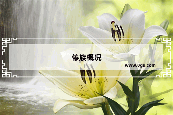 傣族概况