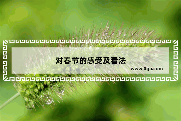 对春节的感受及看法