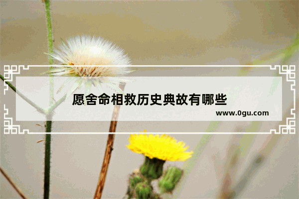 愿舍命相救历史典故有哪些