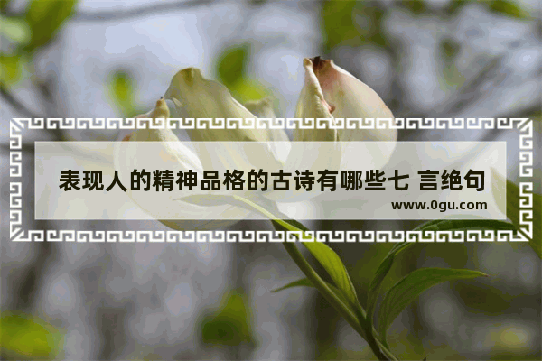 表现人的精神品格的古诗有哪些七 言绝句