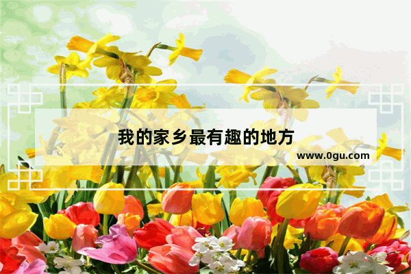 我的家乡最有趣的地方