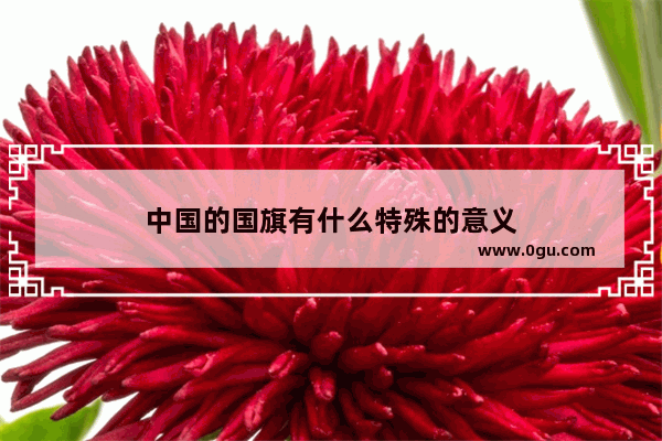 中国的国旗有什么特殊的意义