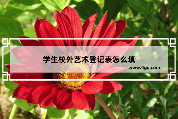 学生校外艺术登记表怎么填