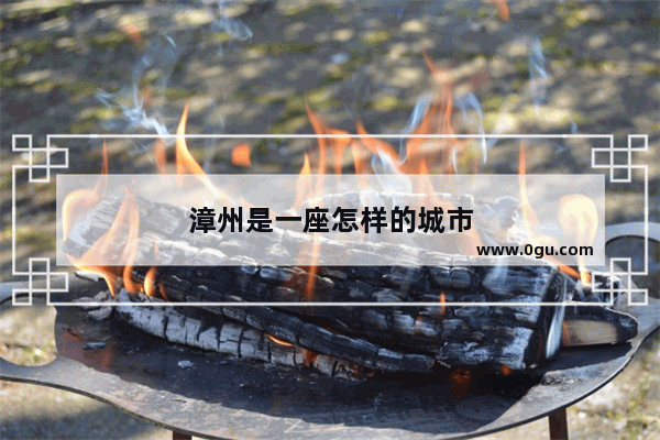 漳州是一座怎样的城市