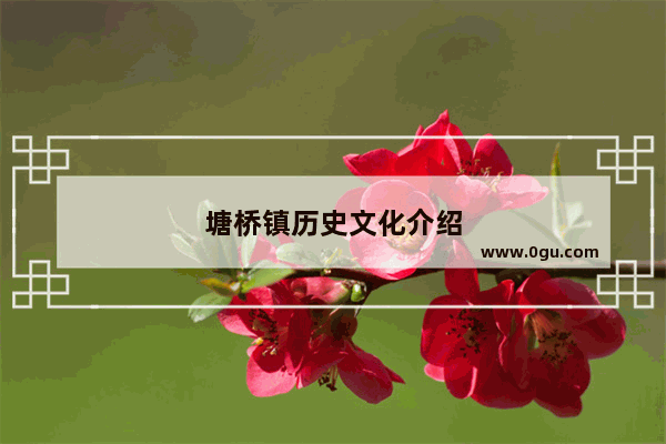塘桥镇历史文化介绍
