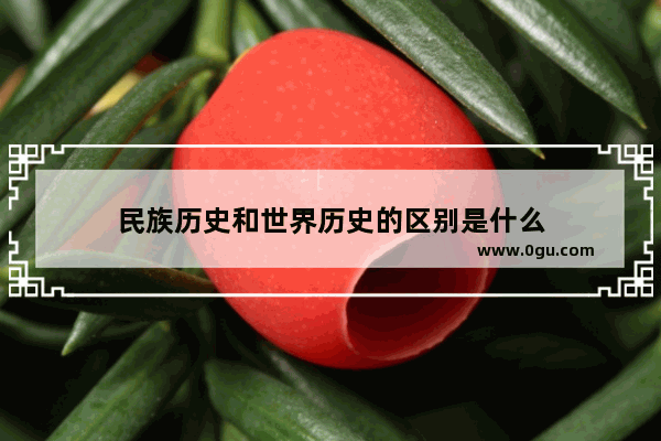 民族历史和世界历史的区别是什么