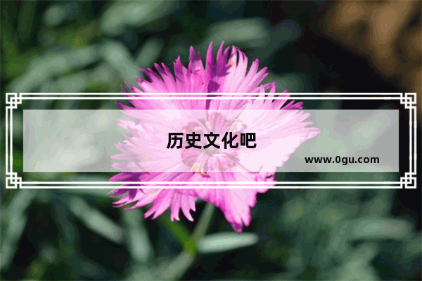 历史文化吧