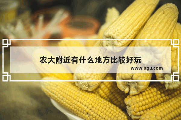 农大附近有什么地方比较好玩