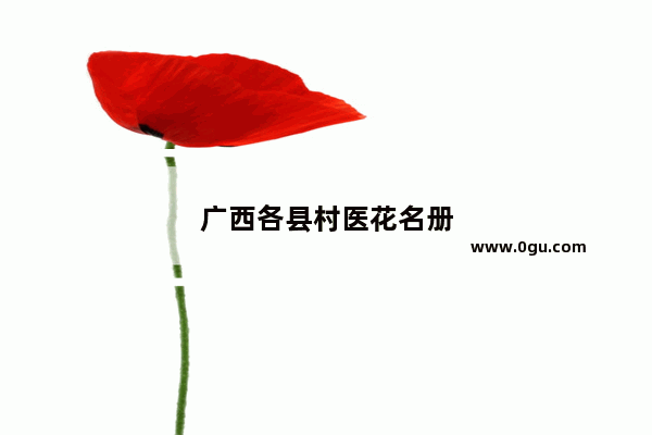 广西各县村医花名册