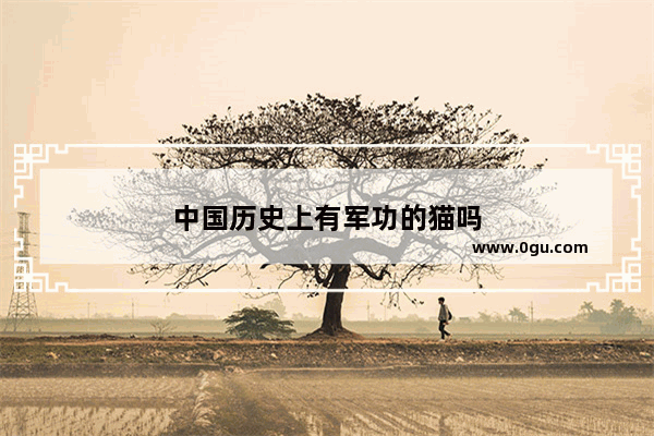 中国历史上有军功的猫吗