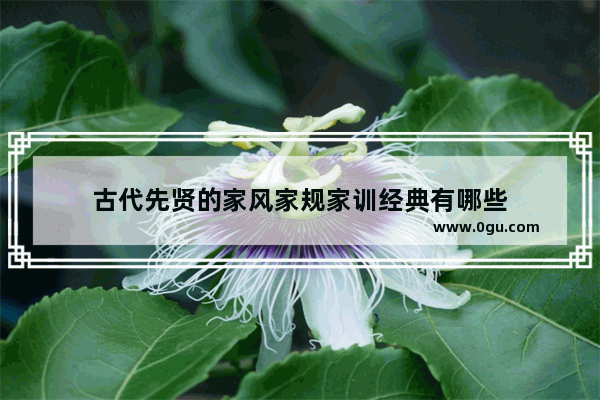 古代先贤的家风家规家训经典有哪些