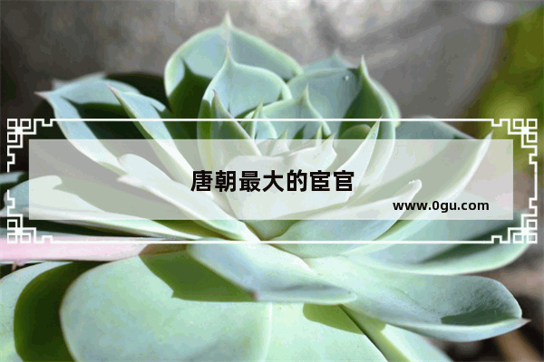 唐朝最大的宦官
