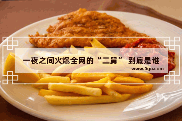 一夜之间火爆全网的“二舅” 到底是谁