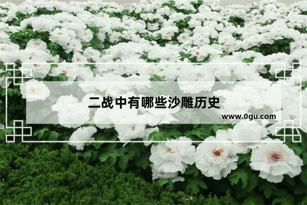 二战中有哪些沙雕历史