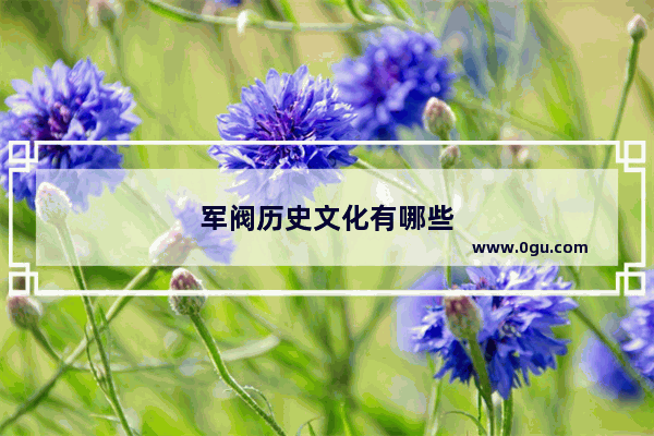军阀历史文化有哪些