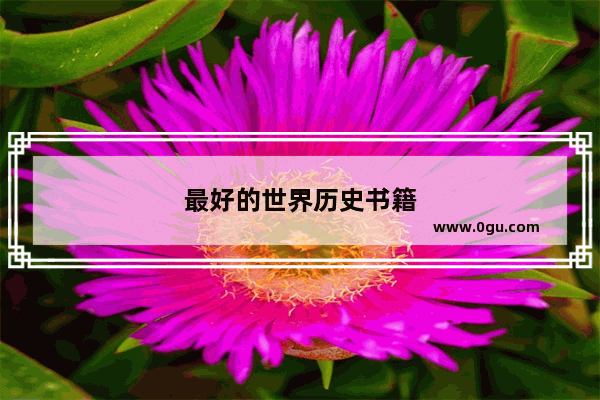 最好的世界历史书籍