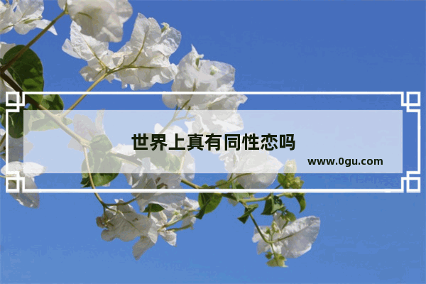 世界上真有同性恋吗