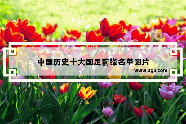 中国历史十大国足前锋名单图片