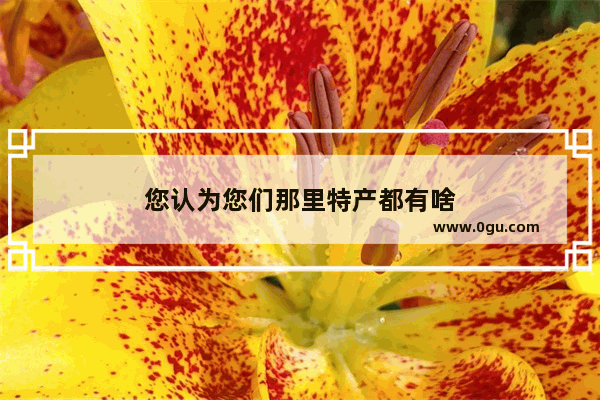 您认为您们那里特产都有啥