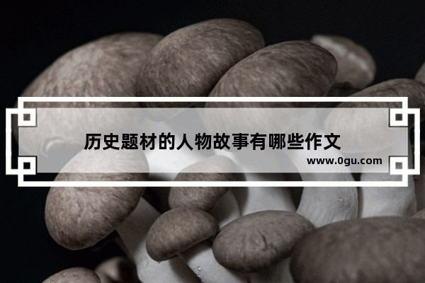 历史题材的人物故事有哪些作文