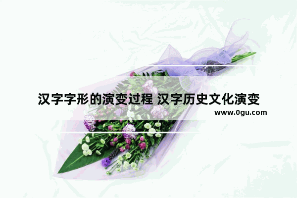 汉字字形的演变过程 汉字历史文化演变
