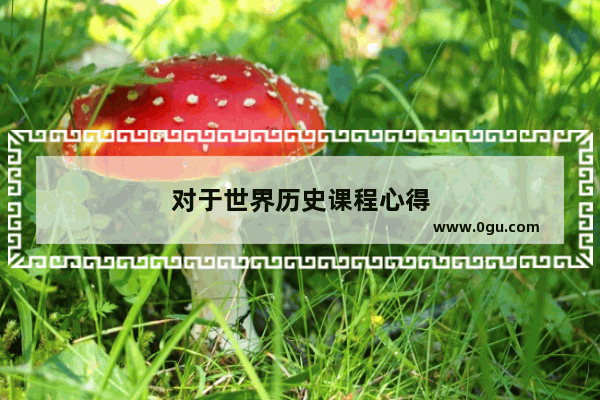 对于世界历史课程心得