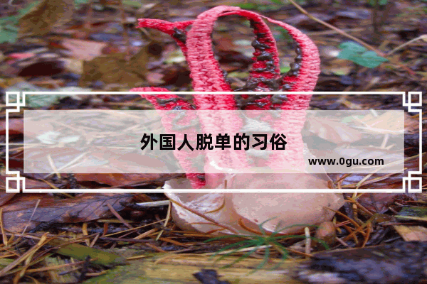 外国人脱单的习俗
