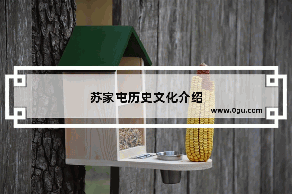 苏家屯历史文化介绍