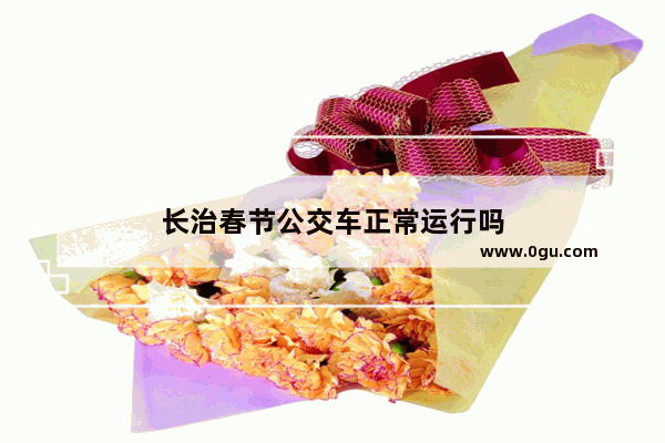 长治春节公交车正常运行吗
