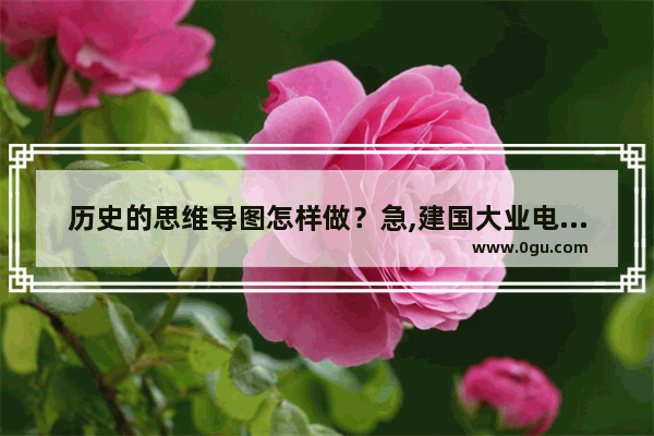 历史的思维导图怎样做？急,建国大业电影事件框架脉络梳理