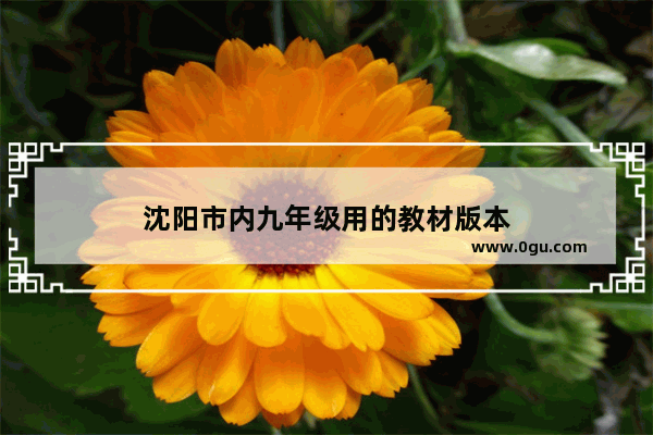 沈阳市内九年级用的教材版本
