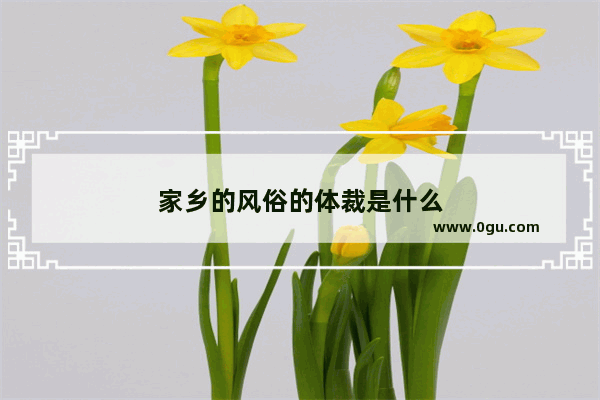 家乡的风俗的体裁是什么