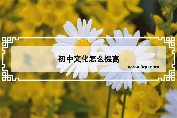 初中文化怎么提高