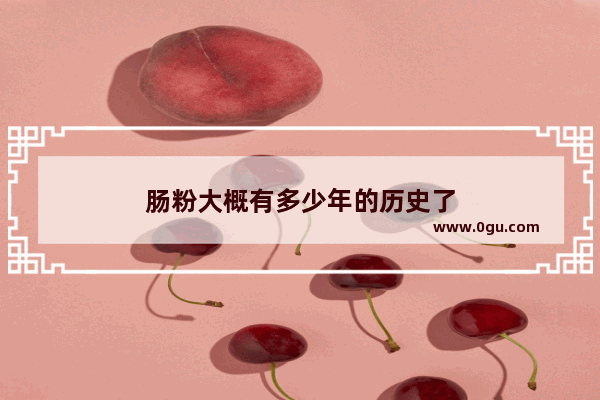 肠粉大概有多少年的历史了