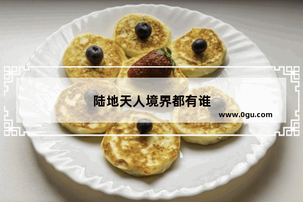 陆地天人境界都有谁
