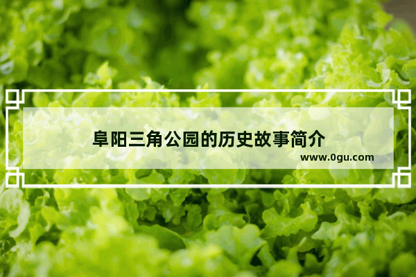 阜阳三角公园的历史故事简介