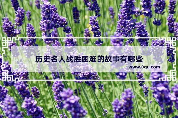 历史名人战胜困难的故事有哪些