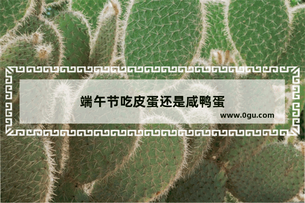 端午节吃皮蛋还是咸鸭蛋