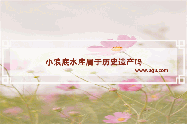 小浪底水库属于历史遗产吗