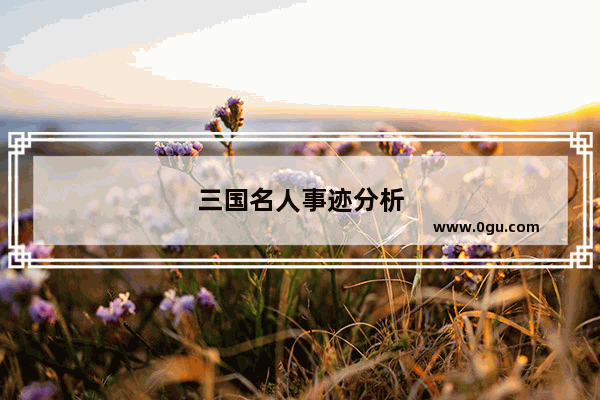 三国名人事迹分析