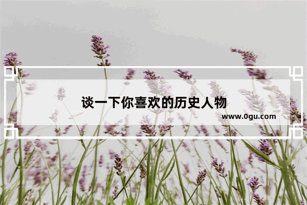 谈一下你喜欢的历史人物