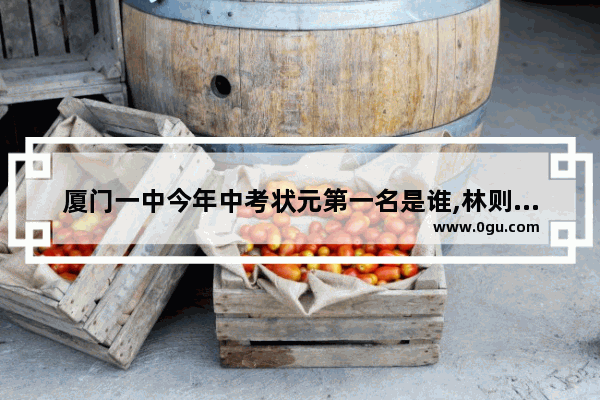 厦门一中今年中考状元第一名是谁,林则徐是状元吗