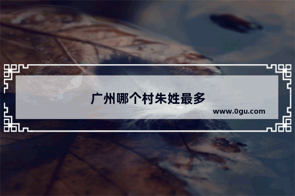 广州哪个村朱姓最多