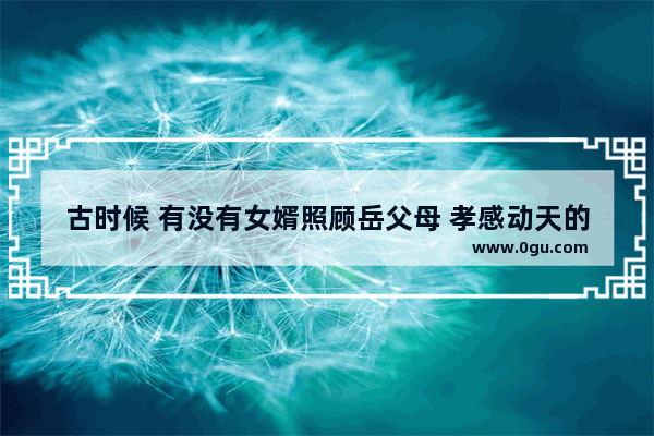 古时候 有没有女婿照顾岳父母 孝感动天的典故 有哪些