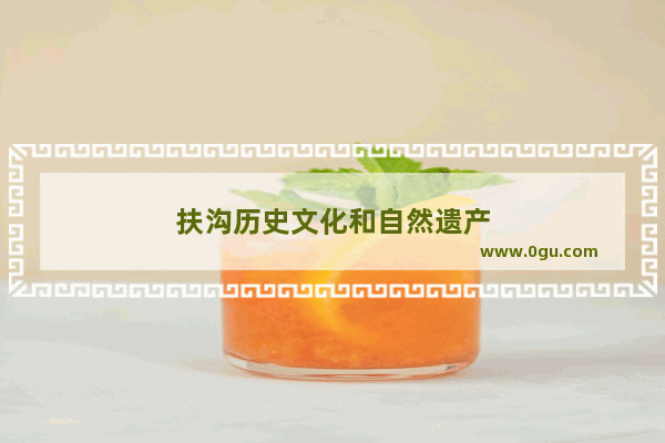 扶沟历史文化和自然遗产