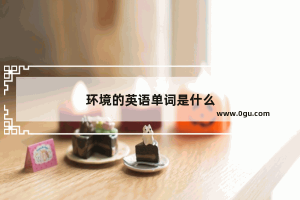 环境的英语单词是什么