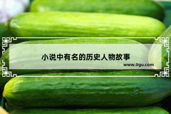 小说中有名的历史人物故事